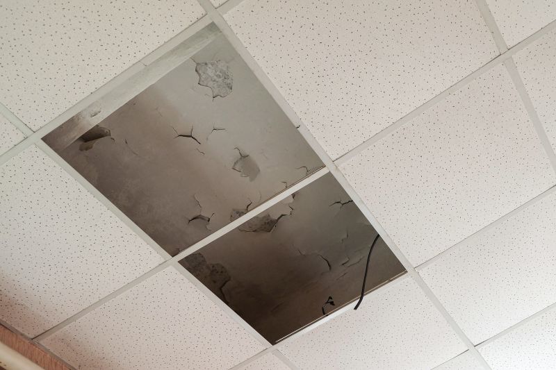 Ceiling Leak Repair Service in Summerville, SC