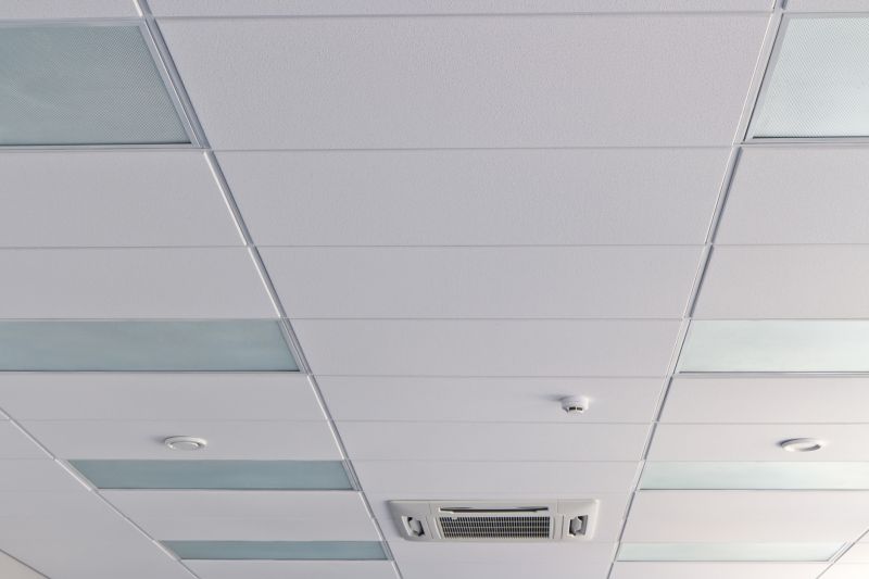 Ceiling Removal Service in Conroe, TX