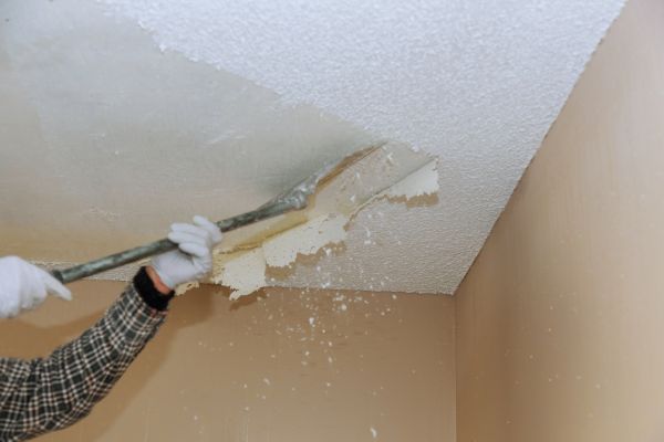 Ceiling Removal - Ceiling Removal Manatee County, Florida