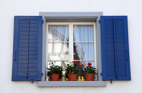 Outdoor Shutter Repair