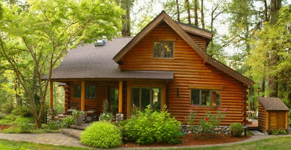 Cabin Restoration
