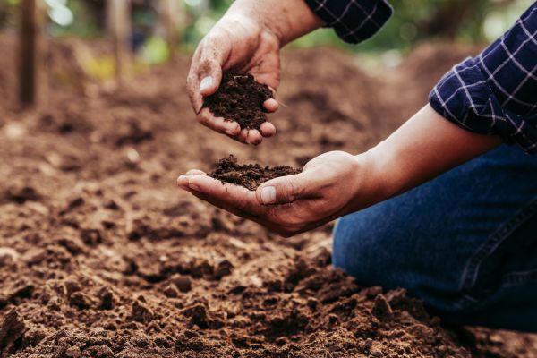 Soil Cultivation