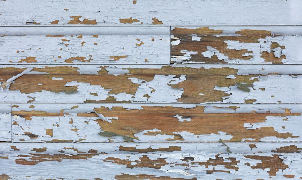 Lead Paint Mitigation