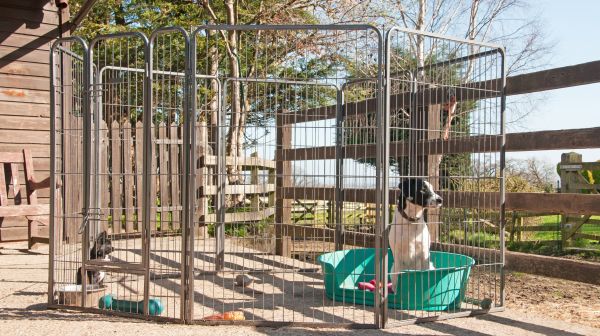 Dog Enclosure Repair