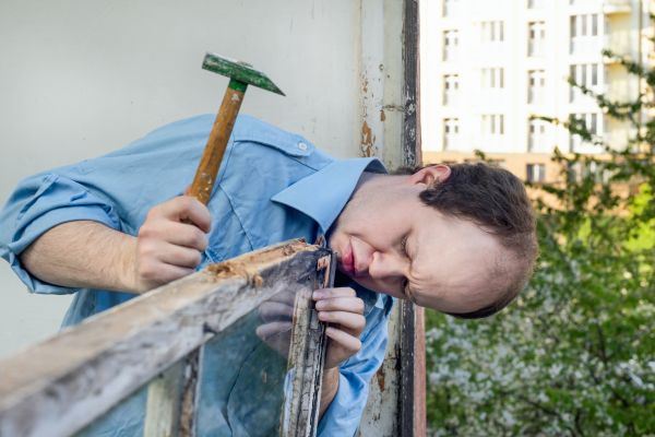 Wood Rot Remediation