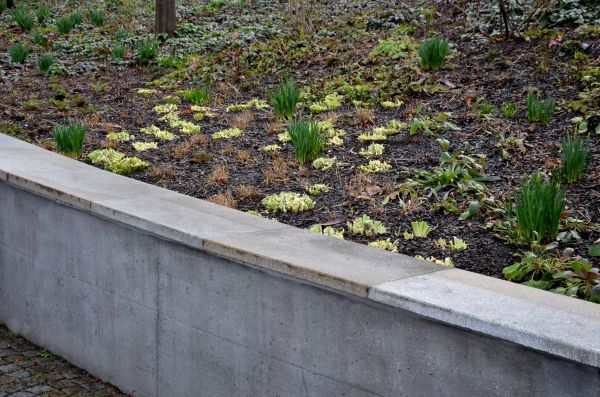 Retaining Wall Service