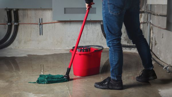 Basement Cleanup