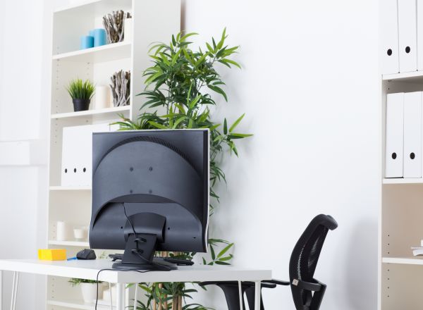Office Staging