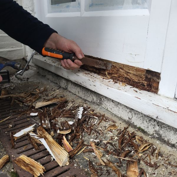 Wood Rot Replacement