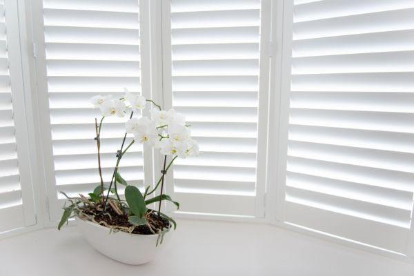 Shutter Mounting