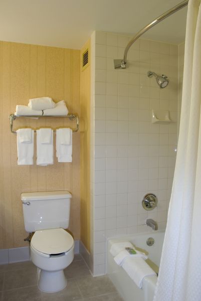 Glass Shower Door Repair