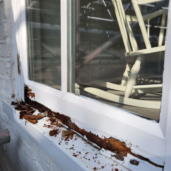 Wood Decay Removal