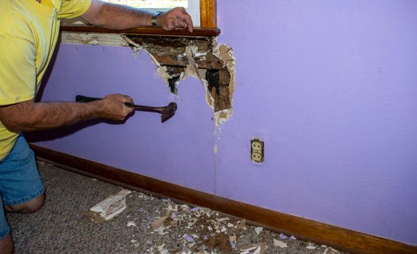 Termite Infestation Repair