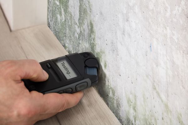 Home Lead Inspection