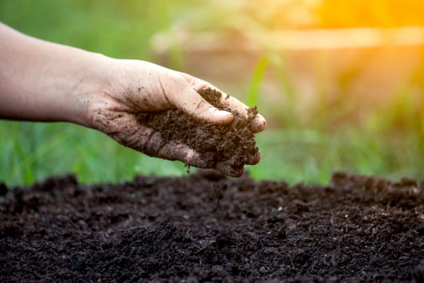 Soil Treatment