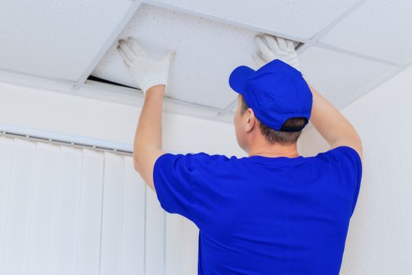 Ceiling Panel Replacement