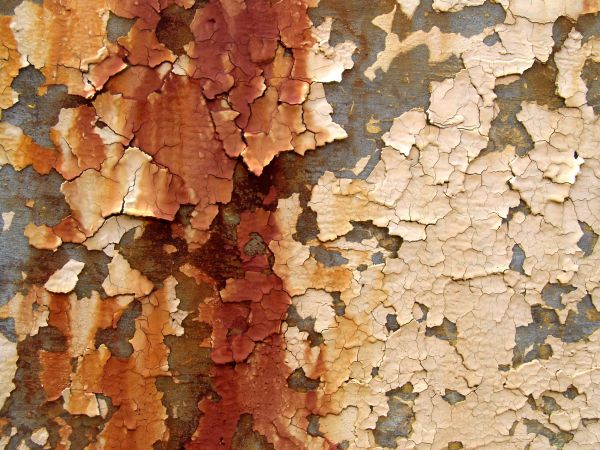 Lead Paint Elimination