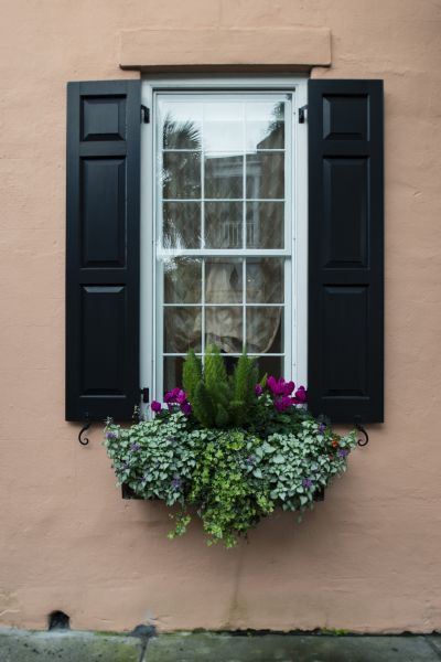 Vinyl Shutter Cleaning