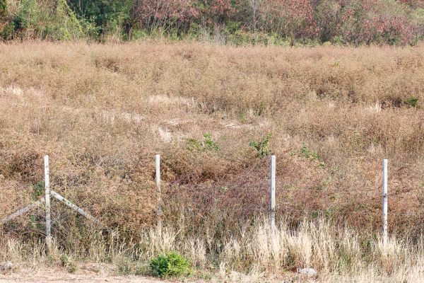 Commercial Land Surveying