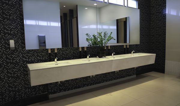 Business Mirror Installation