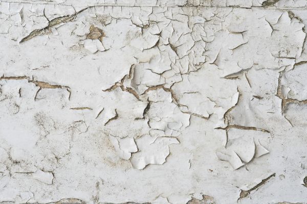 Lead Based Paint Removal