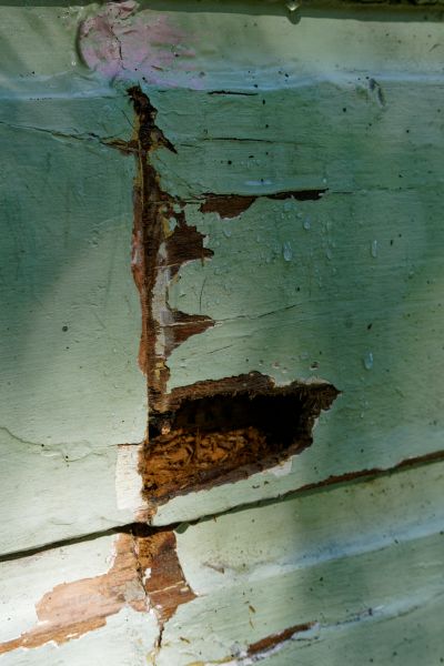 Exterior Wood Decay Repair
