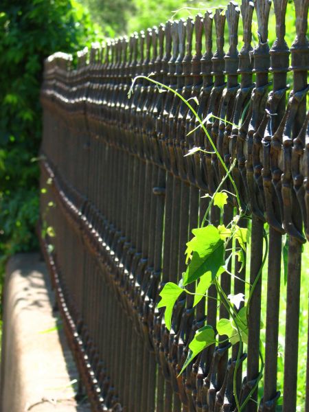Ornamental Iron Fencing - Ornamental Iron Fencing Boulder, Colorado