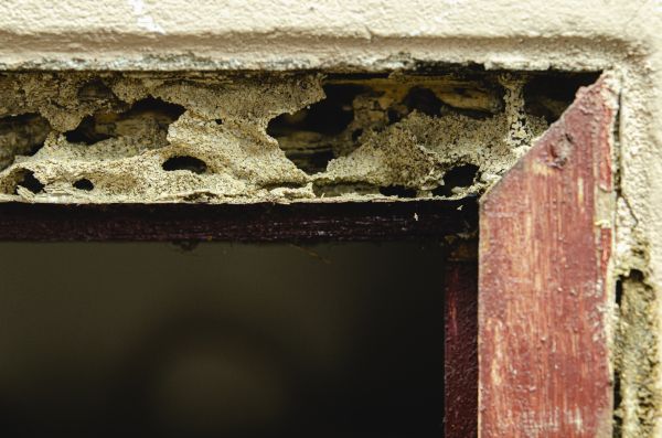 Exterior Wood Rot Repair
